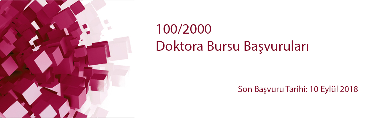 100/2000 Doktora Bursu
